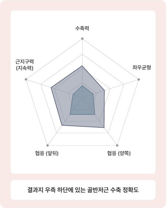 수축력·좌우 균형·근지구력·협응 능력 오각형 그래프