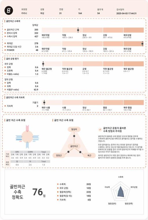 펠브센스 측정 결과지 예시